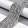 Faceted Electroplated Glass Beads Strands X-GLAA-C023-02-C11-3