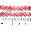 Natural Dolomite Beads Strands G-F765-H05-01-5