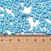 Baking Paint Glass Seed Beads SEED-K009-01A-06-4