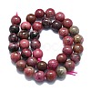 Natural Rhodonite Beads Strands G-K245-A11-05-2