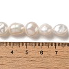 Natural Baroque Pearl Keshi Pearl Beads Strands PEAR-K004-33-10