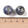 Natural Blue Spot Jasper No Hole Sphere Beads G-K353-04D-14-3