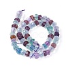 Natural Rainbow Fluorite Beads Strands G-P243-15-M-2