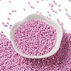 Baking Paint Glass Seed Beads X-SEED-S042-15A-04-2