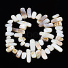 Natural Trochid Shell/Trochus Shell Beads Strands SHEL-S258-082-A01-2
