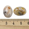 Natural Crazy Agate Cabochons G-C115-01A-33-3