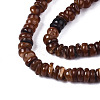 Natural Freshwater Shell Beads Strands SHEL-S278-067C-3