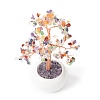 Natural Gemstone Chips with Brass Wrapped Wire Money Tree on Ceramic Vase Display Decorations DJEW-B007-02F-3