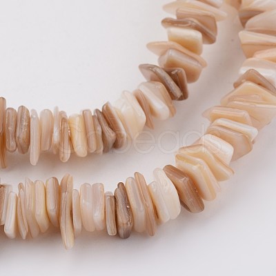 Natural Shell Bead Strands X-BSHE-P021-14-1