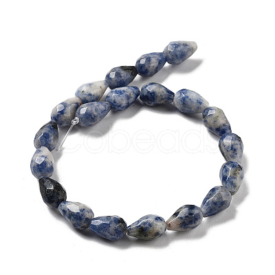 Natural Blue Spot Jasper Beads Strands G-P520-B21-01-1