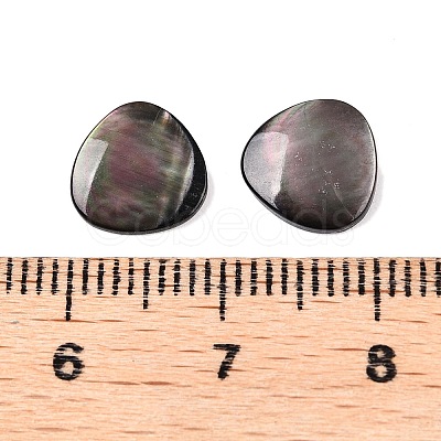 Natural Black Lip Shell Cabochons SSHEL-T017-09-1