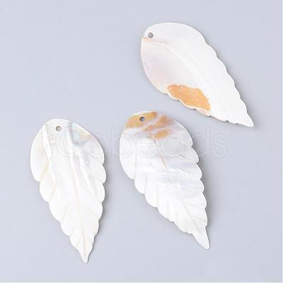 Freshwater Shell Big Pendants SHEL-S249-10-1