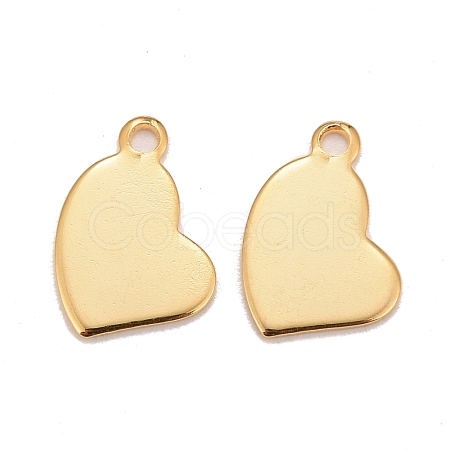 201 Stainless Steel Charms STAS-K217-77G-1