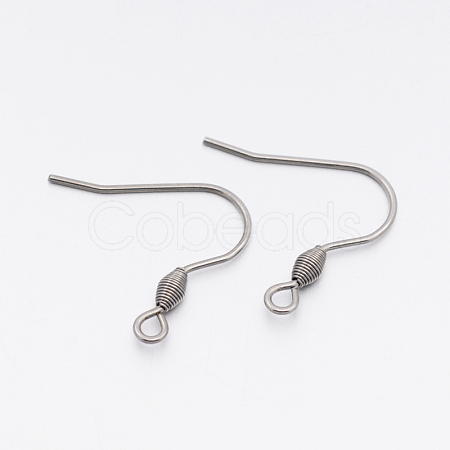 304 Stainless Steel Earring Hooks STAS-E074-42-1