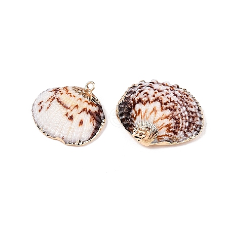 Natural Sea Shell Pendants SSHEL-N038-19-1