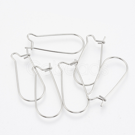 304 Stainless Steel Hoop Earrings STAS-T031-02-1