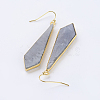 Natural Labradorite Dangle Earrings EJEW-P145-03A-2