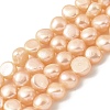 Natural Cultured Freshwater Pearl Beads Strands PEAR-A006-09C-1