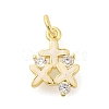 Rack Plating Brass Micro Pave Cubic Zirconia Charms KK-S396-46G-1