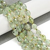 Natural Prehnite Beads Strands G-N342-43-2