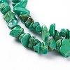 Natural Sinkiang Turquoise Beads Strands TURQ-F013-01-3