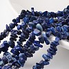 Nuggets Dyed Natural Lapis Lazuli Bead Strands G-M344-21-1