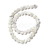 Natural Trochid Shell/Trochus Shell Beads Strands SHEL-F003-08A-4