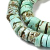 Natural Turquoise Beads Strands G-P506-05A-3
