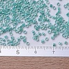 MIYUKI Delica Beads X-SEED-J020-DB0079-4