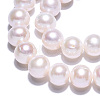 Natural Cultured Freshwater Pearl Beads Strands PEAR-N016-09C-5