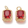 Brass Glass Charms ZIRC-F116-09-G-2