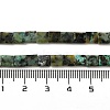 Natural African Turquoise(Jasper) Beads Strands G-F762-A14-01-5