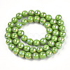 Electroplate Opaque Glass Beads Strands GLAA-T032-P8mm-AB06-3