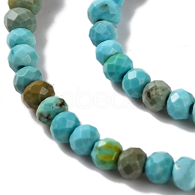 Natural Howlite Beads Strands G-H025-03A-01-1