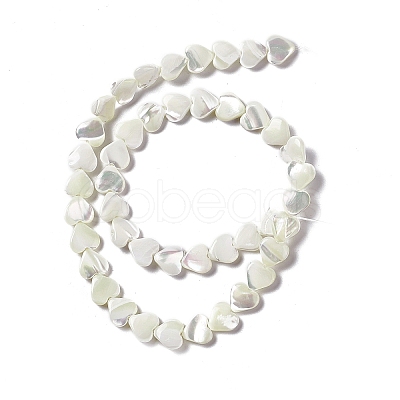 Natural Trochid Shell/Trochus Shell Beads Strands SHEL-F003-08A-1