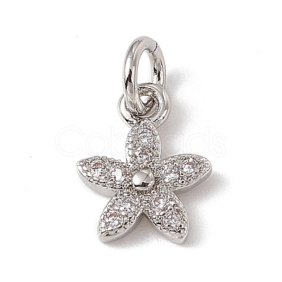 Brass Micro Pave Cubic Zirconia Charms ZIRC-F132-99P-1