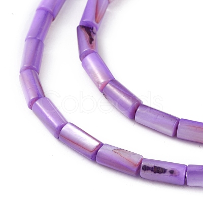 Natural Freshwater Shell Dyed Beads Strands SHEL-M018-11-08-1