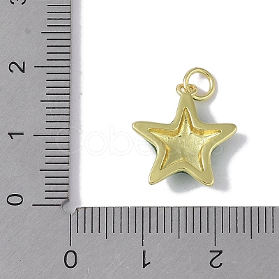 Brass Enamel Pendants KK-E110-08G-1