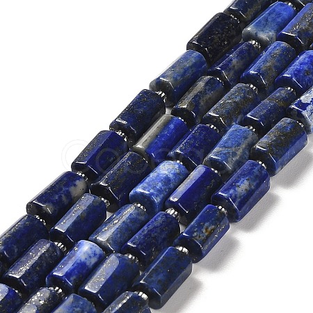 Natural Lapis Lazuli Beads Strands G-N327-06-13-1
