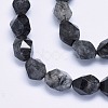 Natural Black Rutilated Quartz Beads Strands G-O173-076A-3