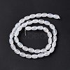 Natural White Agate Beads Strands G-C247-01A-3