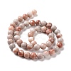 Natural Gemstone Beads Strands G-D481-10-3