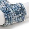 Natural Aquamarine Beads Strands G-B088-E10-04-1