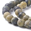 Natural Yellow Turquoise(Jasper) Beads Strands G-H245-02B-3