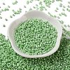 Baking Paint Glass Seed Beads X-SEED-S042-15A-08-2