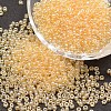 8/0 Glass Seed Beads X-SEED-J012-F8-102-1