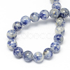 Natural Blue Spot Jasper Bead Strands G-R193-15-10mm-2