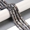 Natural Map Stone Beads Strands G-C128-A04-01-2