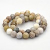 Natural Bamboo Leaf Agate Round Beads Strands G-N0120-12-10mm-2