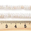 Natural Keshi Pearl Cultured Freshwater Pearl Beads Strands PEAR-C003-31C-5